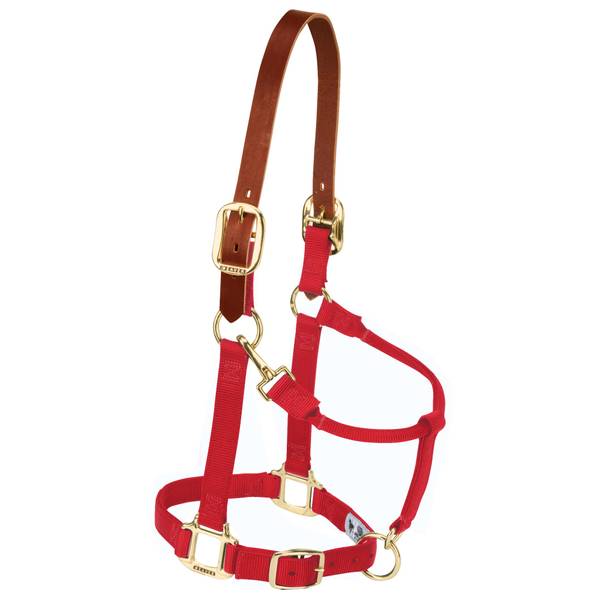 Photo of Small/Weanling Breakway Adjustable Halter