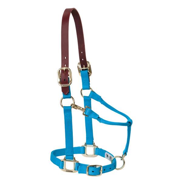 Photo of Large Horse Breakway Adjustable Halter