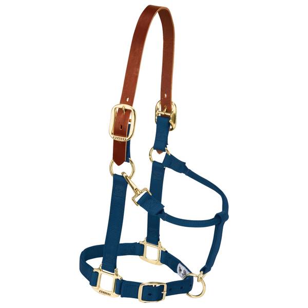 Photo of Large Horse Breakway Adjustable Halter