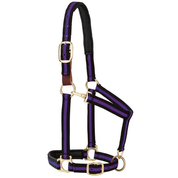 Photo of Striped Padded Breakaway Adjustable Chin & Throat Snap Halter