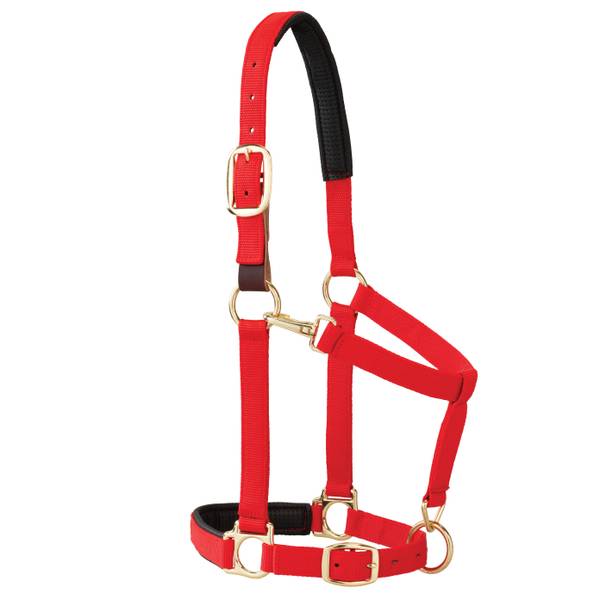 Weaver Leather Padded Breakaway Adjustable Chin and Throat Snap Halter