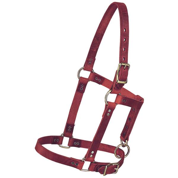Weaver Leather 5/8" Halter with Catch Strap, Suckling