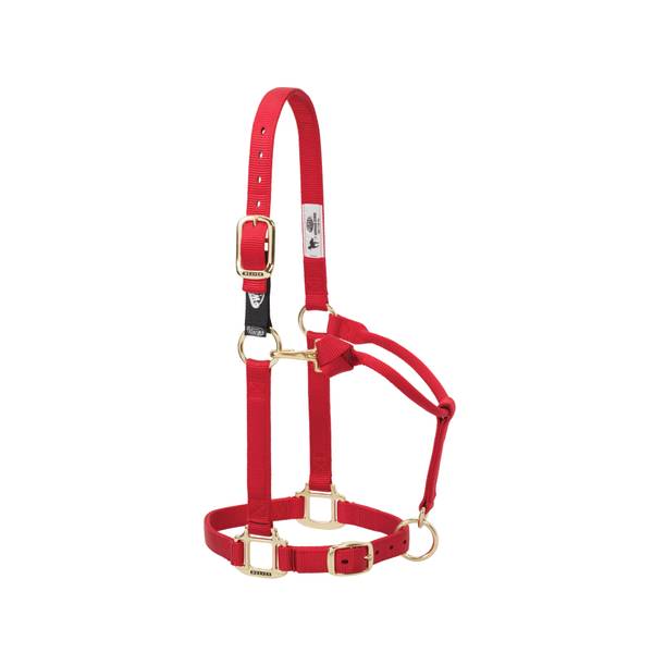 Weaver Leather Nylon Adjustable Horse Halter with Leather Breakaway Crown  at Tractor Supply Co.