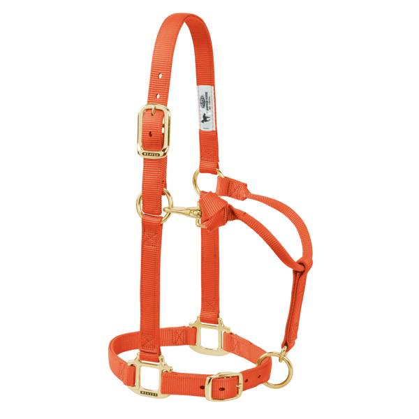 Weaver Leather Yearling 1" Original Adjustable Chin and Throat Snap Halter