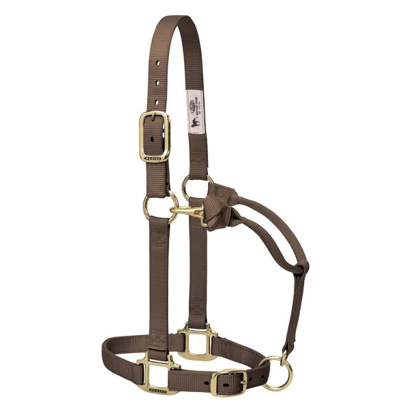 Triple Ply Leather Horse Halter w/ Brass Hardware