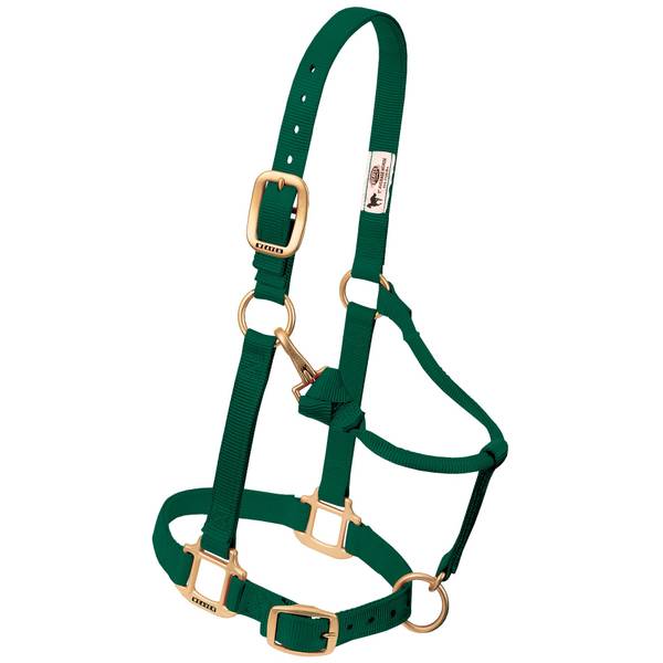 Weaver Leather Small Horse 1" Original Adjustable Chin and Throat Snap Halter