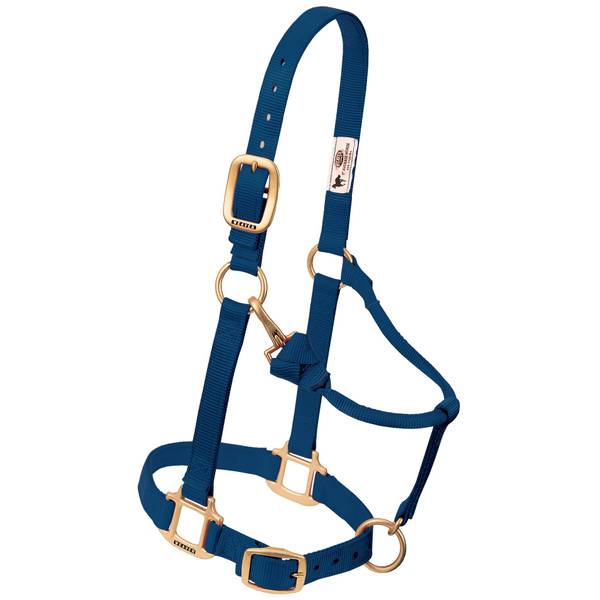Photo of Small Horse 1" Original Adjustable Chin and Throat Snap Halter