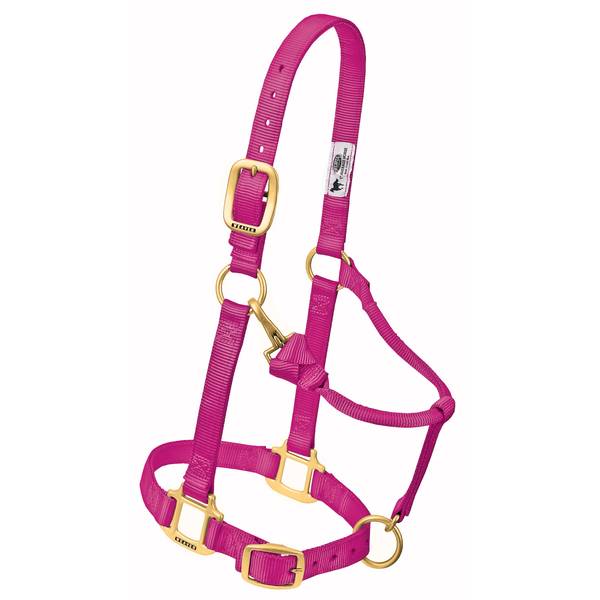 Photo of Small Horse 1" Original Adjustable Chin and Throat Snap Halter