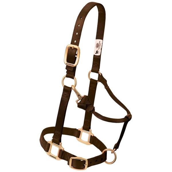 Weaver Leather Large Horse 1" Original Adjustable Chin and Throat Snap