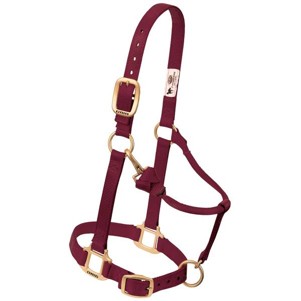Photo of Large Horse 1" Original Adjustable Chin and Throat Snap Halter