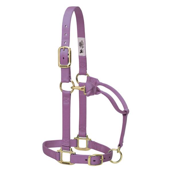 Photo of Large Horse 1" Original Adjustable Chin and Throat Snap Halter
