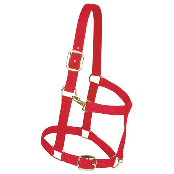 Photo of Red Draft Horse 1" Original Adjustable Chin and Throat Snap Halter