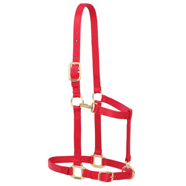 Weaver Leather Average Red Draft Horse 1" Original Adjustable Chin and Throat Snap Halter