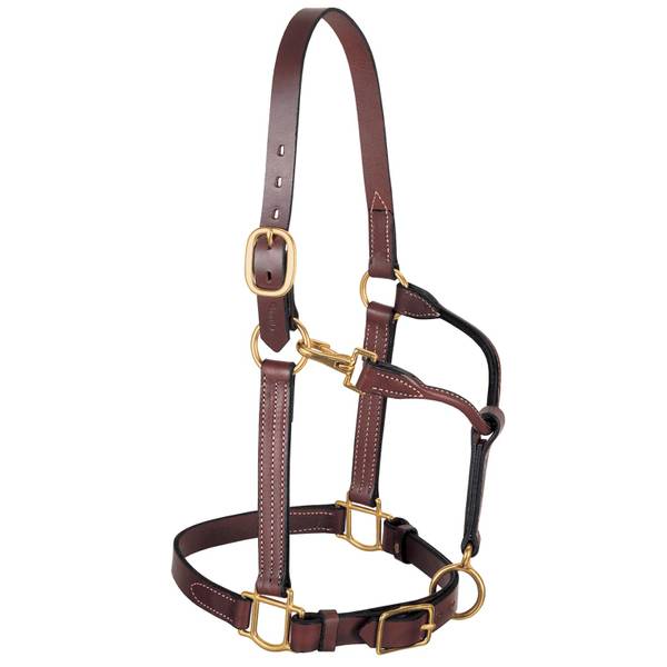 Weaver Leather 1" 3-in-1 All Purpose Halter