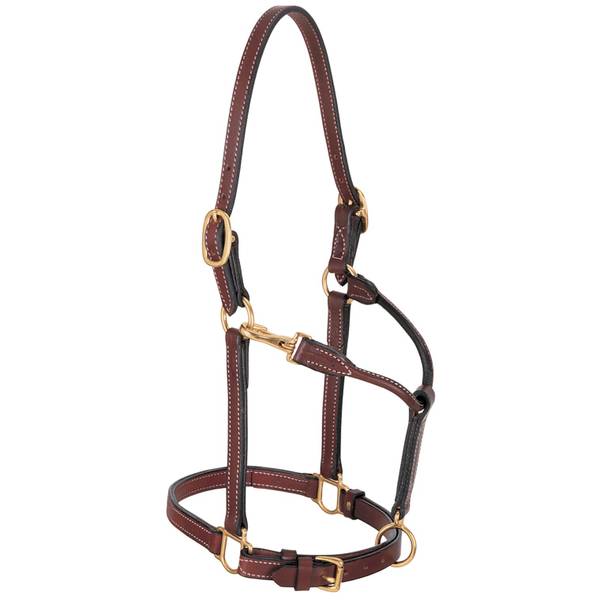 Weaver Leather 3/4" Double and Stitched Bridle Leather 3/4" Halter