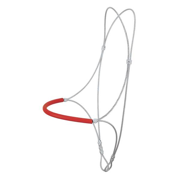 Photo of Sure Down with Rubber Nose