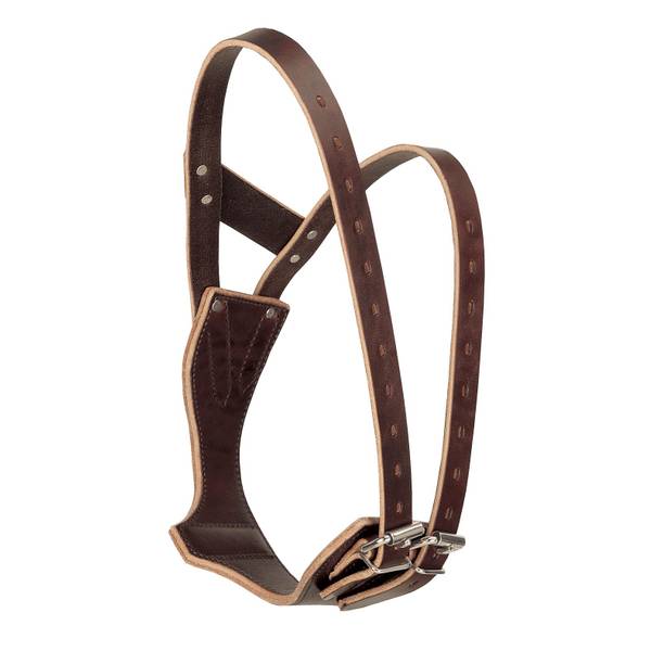 Photo of Large Havana Miracle Cribbing Collar