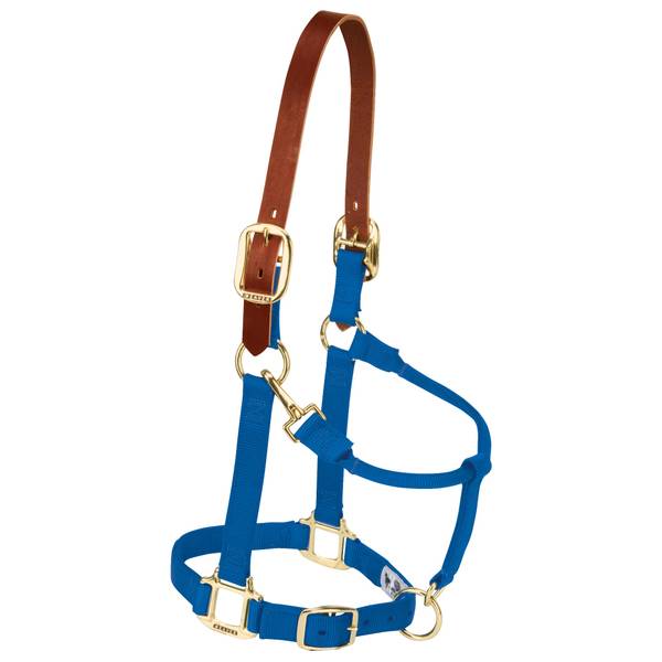 Photo of 3/4" Weanling/Pony Breakaway Original Adjustable Chin and Throat Snap Halter