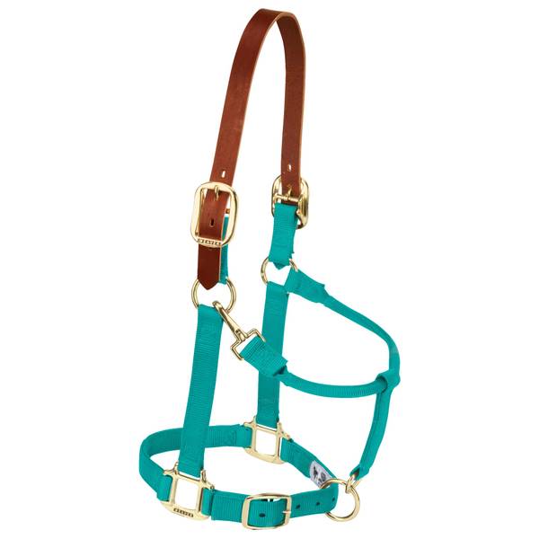 Photo of 3/4" Weanling/Pony Breakaway Original Adjustable Chin and Throat Snap Halter