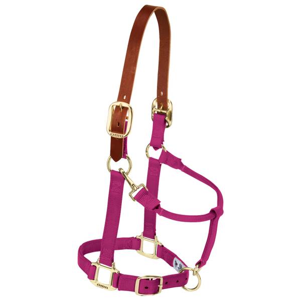 Photo of 3/4" Weanling/Pony Breakaway Original Adjustable Chin and Throat Snap Halter