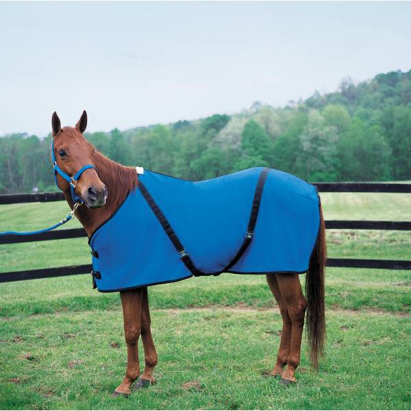 Photo of Polar Fleece Horse Blanket