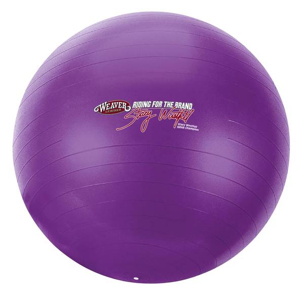 Photo of Stacy Westfall Activity Ball-Small