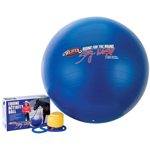 Photo of Stacy Westfall Activity Ball-Medium