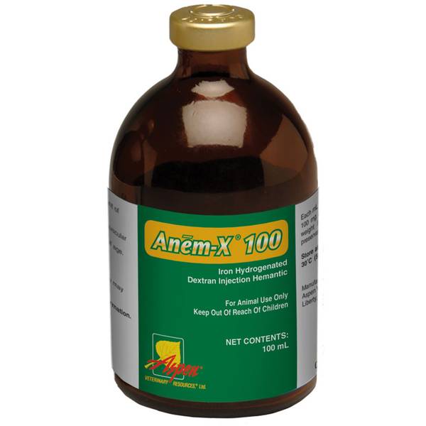 Aspen AnemX 100 Iron Dextran Swine Supplement 14702214 Blain's
