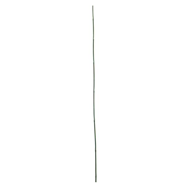 Photo of 12-Pack 3' Bamboo Stakes