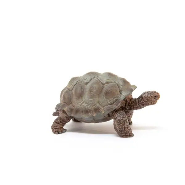 Schleich Giant Tortoise Wild Life Realistic Collectible Figure 
