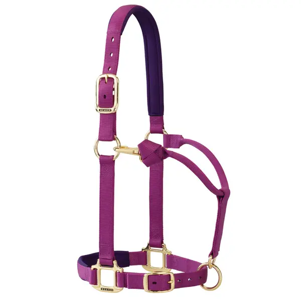 Original Padded Average Adjustable Halter