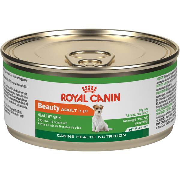 brutalt pude forord Royal Canin 5.2 oz Healthy Skin Small Breed Beauty Adult in Gel Dog Food -  RCN94205 | Blain's Farm & Fleet
