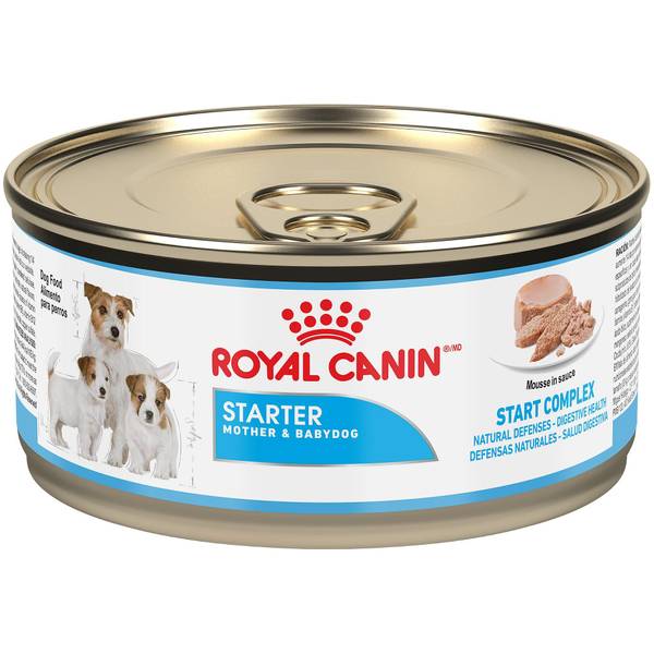 Bulk Vochtig Scherm Royal Canin 5.1 oz Mother and Baby Starter Mousse Dog Food - RCN94258 |  Blain's Farm & Fleet
