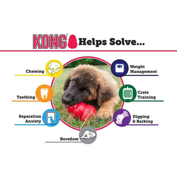 kong dog pacifier