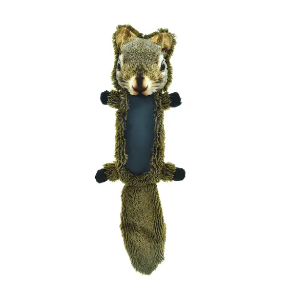 Squeaky squirrel hotsell dog toy