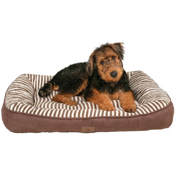 american kennel club bed