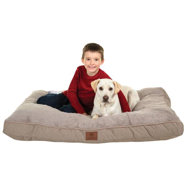 american kennel club bed