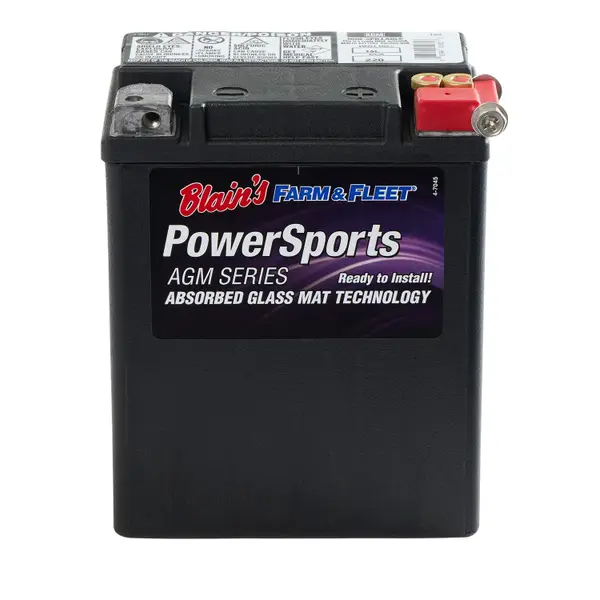 Blain's Farm & Fleet AGM PowerSports Battery, Group Size 15L