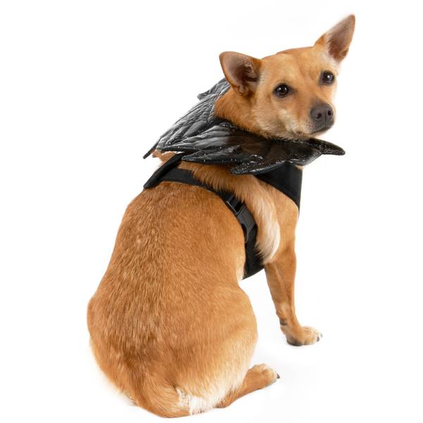 Mission Pets Black Shiny Bat Wings Harness-S - 22104850 | Blain's Farm ...