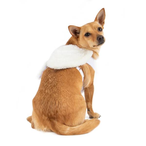 dog wing harness