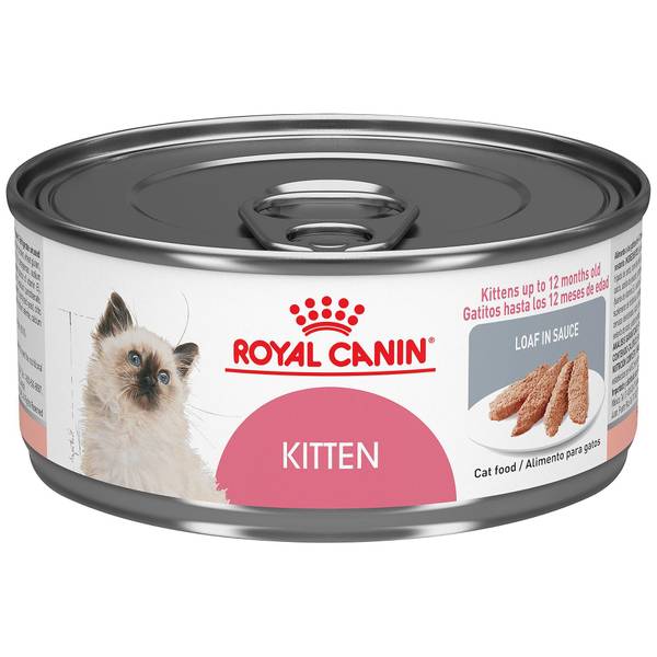 Hates Pedagogy Disturbance Royal Canin 5.1 oz Kitten Loaf in Sauce Cat Food - RCN94101 | Blain's Farm  & Fleet