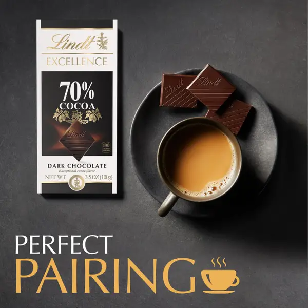 Lindt 3.5oz Excellence 70% Cocoa Dark Chocolate Bar - 503118
