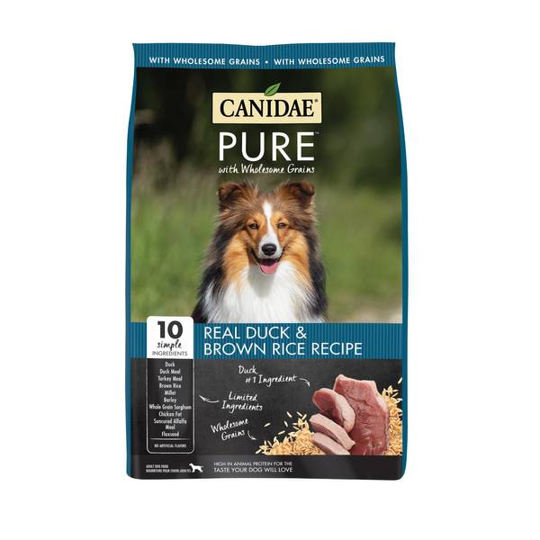 canidae salmon dog food 24lb