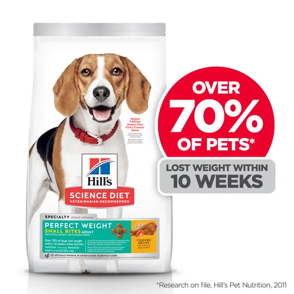 Cheapest science diet dog food sale