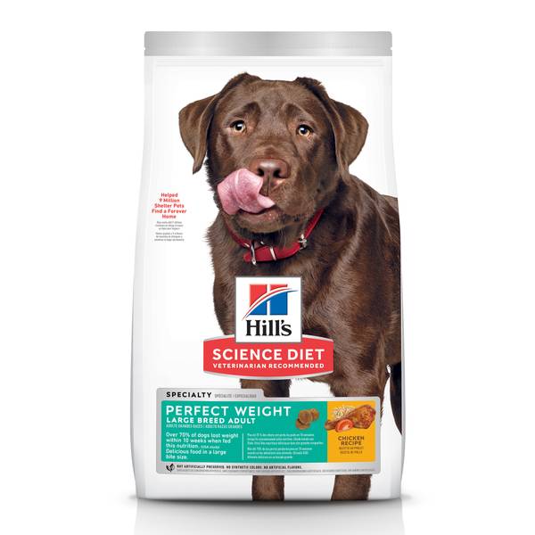 large breed dry dog food