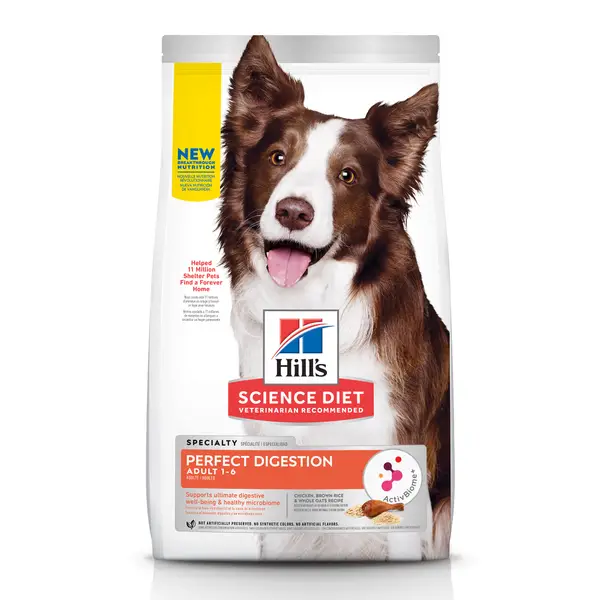 Best diet shop dry dog food