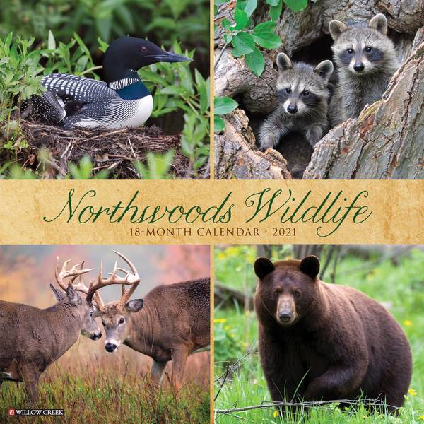 Willow Creek Press 2021 Northwoods Wildlife Wall Calendar 12789