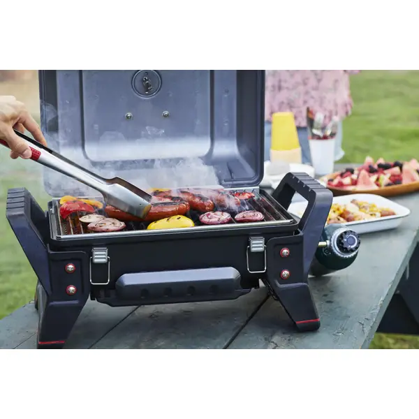 Char Broil Grill2Go X200 Portable Gas Grill 21401734 Blain s