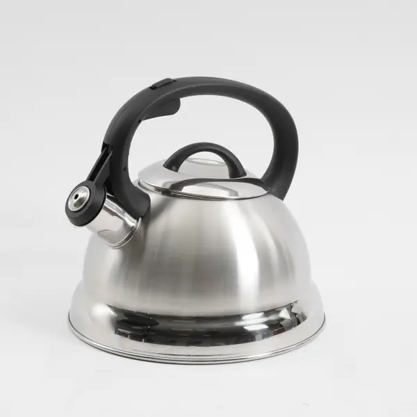Coffee 2-Piece Flintshire QT Whistling Tea Kettle