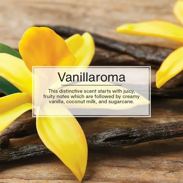 Little Trees Vanillaroma Vent Wrap - CTK-52732-24 | Blain's Farm